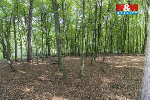 Prodej zahrady, 10 316 m² 2