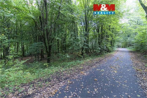 Prodej zahrady, 10 316 m² 0