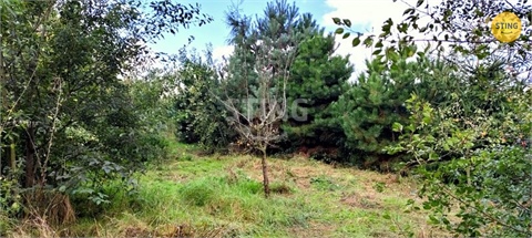 Prodej rodinného domu, 150 m² 2