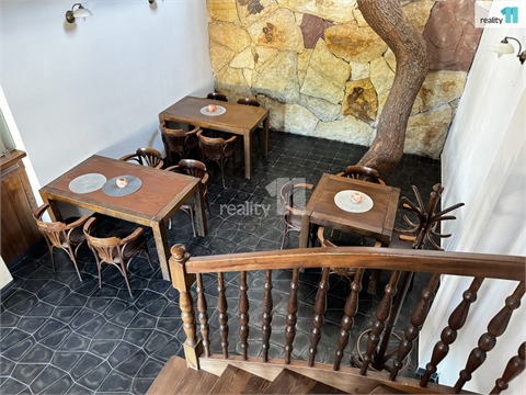 Prodej restaurace, 541 m² - 10