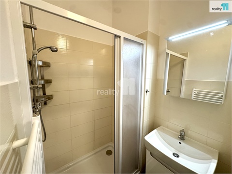 Pronájem bytu 3kk, 55 m² - 8