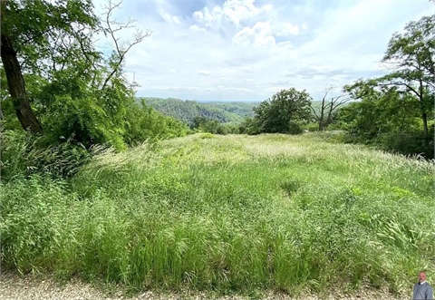 Prodej stavebního pozemku, 2 500 m² 0