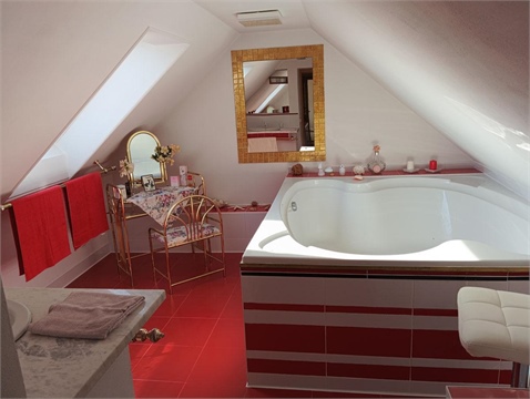 Prodej atypického bytu, 258 m² - 26