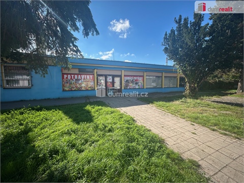 Pronájem obchodních prostor, 324 m² - 0