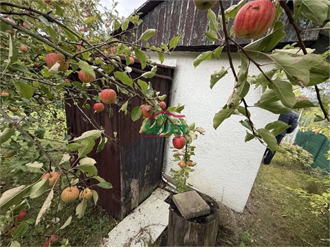 Prodej zahrady, 306 m² - 10