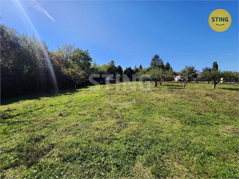 Prodej zahrady, 1 774 m² 8