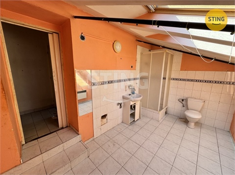 Prodej domu, 400 m² - 28