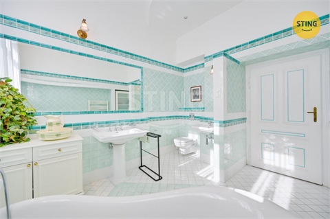 Prodej vily, 700 m² 26