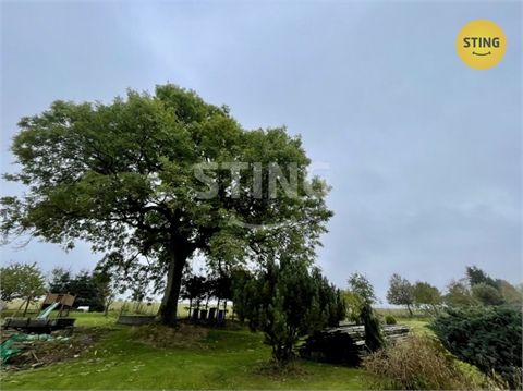 Prodej rodinného domu, 1 901 m² 4