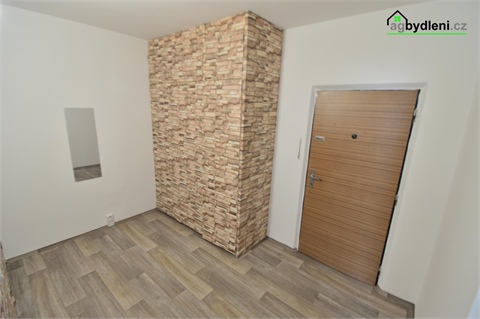 Pronájem bytu 1+1, 45 m² 6