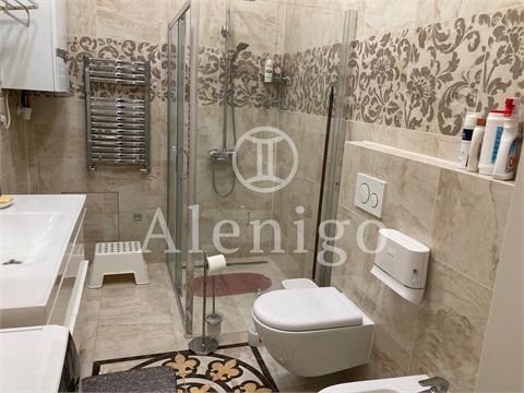 Pronájem bytu 3kk, 112 m² - 22