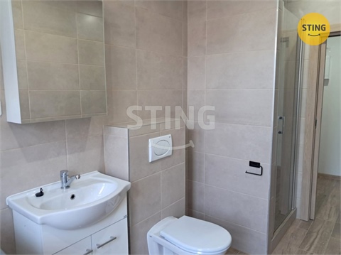 Pronájem bytu 1+1, 55 m² - 2