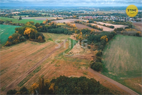 Prodej zemědělské půdy, 12 546 m² 4