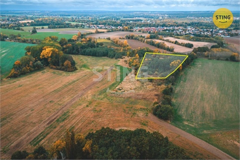 Prodej zemědělské půdy, 12 546 m² - 4