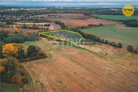 Prodej zemědělské půdy, 12 546 m² - 2