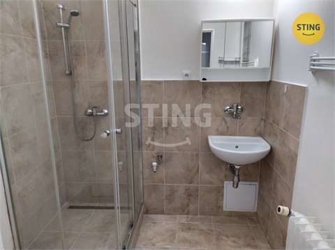 Pronájem bytu 2+1, 64 m² - 6