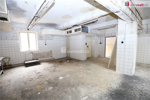 Prodej ubytování, 600 m² - 10