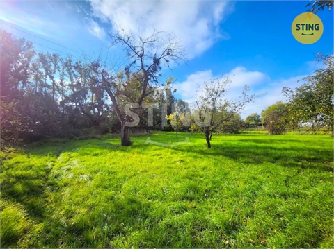 Prodej zahrady, 2 697 m² - 0