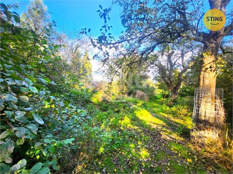 Prodej zahrady, 2 697 m² - 0