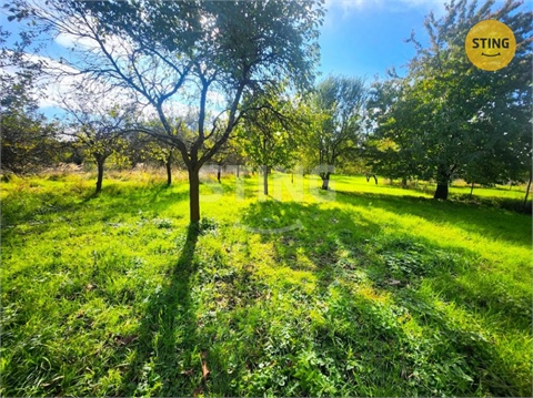 Prodej zahrady, 2 697 m² 4