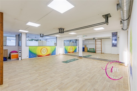 Prodej obchodních prostor, 242 m² 4