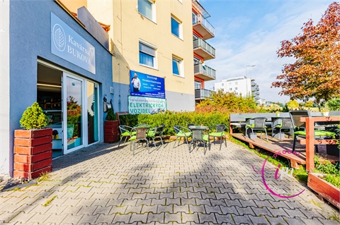 Prodej obchodních prostor, 242 m² 4