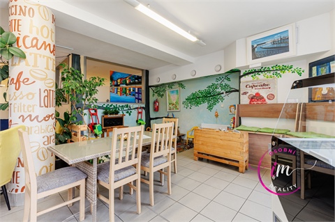 Prodej obchodních prostor, 242 m² - 14