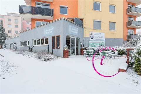 Prodej obchodních prostor, 242 m² - 24