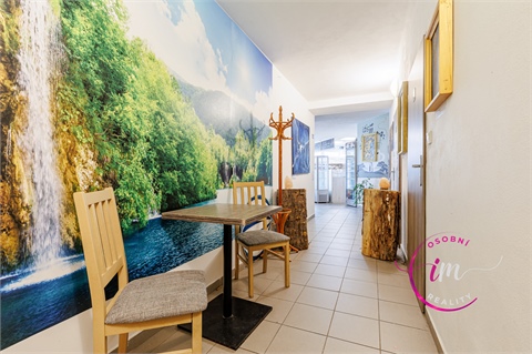 Prodej obchodních prostor, 242 m² - 6