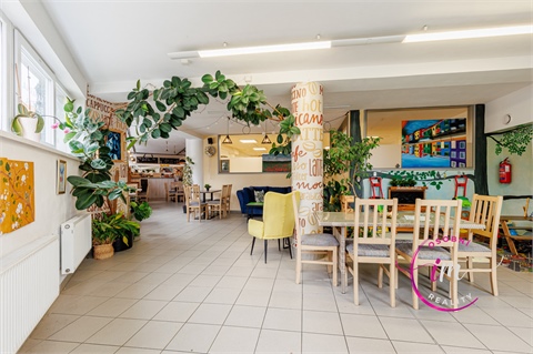 Prodej obchodních prostor, 242 m² 16