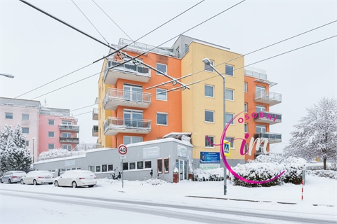 Prodej obchodních prostor, 242 m² - 0