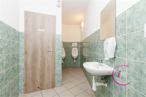 Prodej obchodních prostor, 242 m² 18