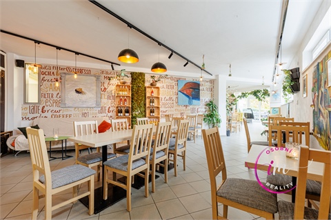 Prodej obchodních prostor, 242 m² 2