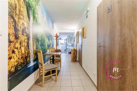 Prodej obchodních prostor, 242 m² - 6