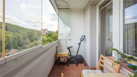 Prodej bytu 2+1, 58 m² - 10