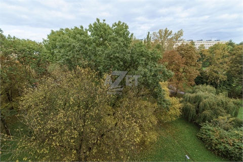 Prodej bytu 3+1, 76 m² 12