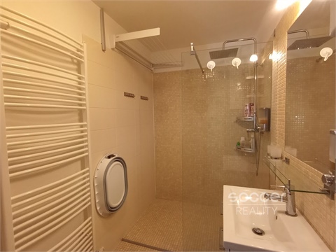 Pronájem bytu 3kk, 54 m² 8