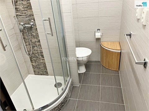 Pronájem bytu 1+1, 39 m² - 18