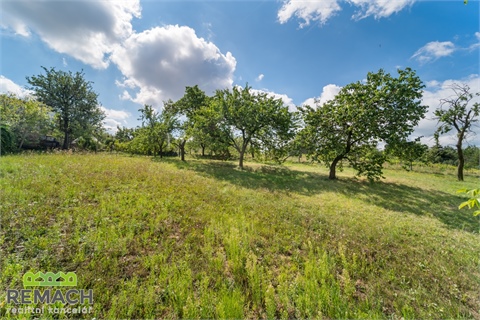 Prodej rodinného domu, 301 m² - 10