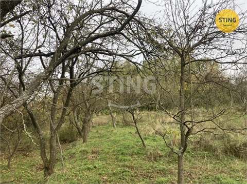 Prodej sadu, 4 839 m² 2