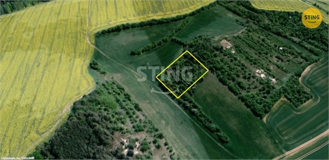 Prodej sadu, 4 839 m² 4