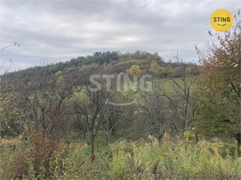 Prodej sadu, 4 839 m² 0