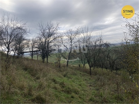 Prodej sadu, 4 839 m² - 2