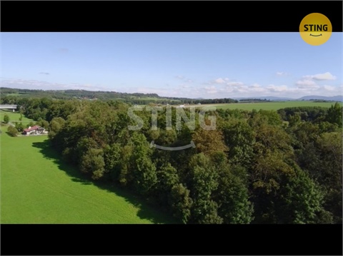 Prodej stavebního pozemku, 26 902 m² - 28