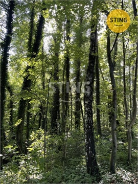 Prodej stavebního pozemku, 26 902 m² 26