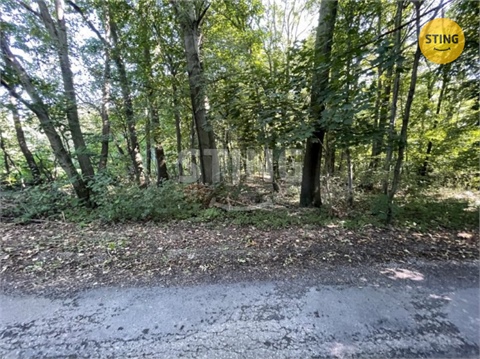 Prodej stavebního pozemku, 26 902 m² - 24