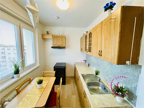 Pronájem bytu 2+1, 53 m² - 4