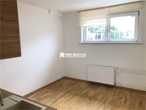 Pronájem bytu 1kk, 20 m² 4