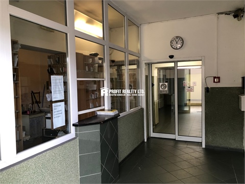 Pronájem bytu 1kk, 20 m² - 8