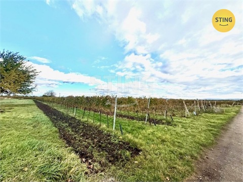 Prodej sadu, 700 m² - 2